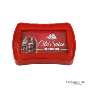 Rectangular Plastic Paperweight With Branding