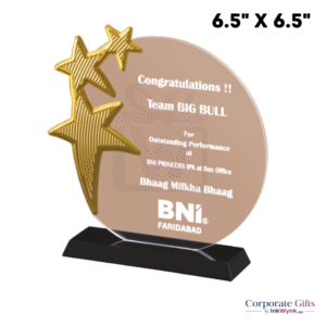 Round Acrylic Trophy with Company Logo