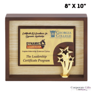 Wooden Trophy 8x10 Inch